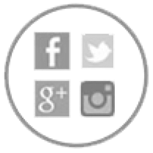 Gestión de las Redes Sociales